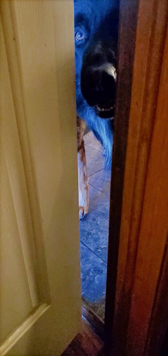 JessicaS tweet media