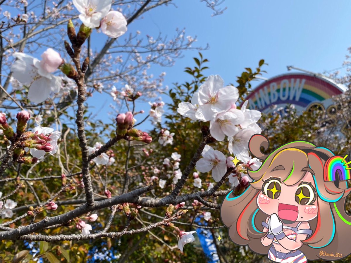 あおぞら虹乃ちゃん@レインボースポーツPRキャラクター tweet media