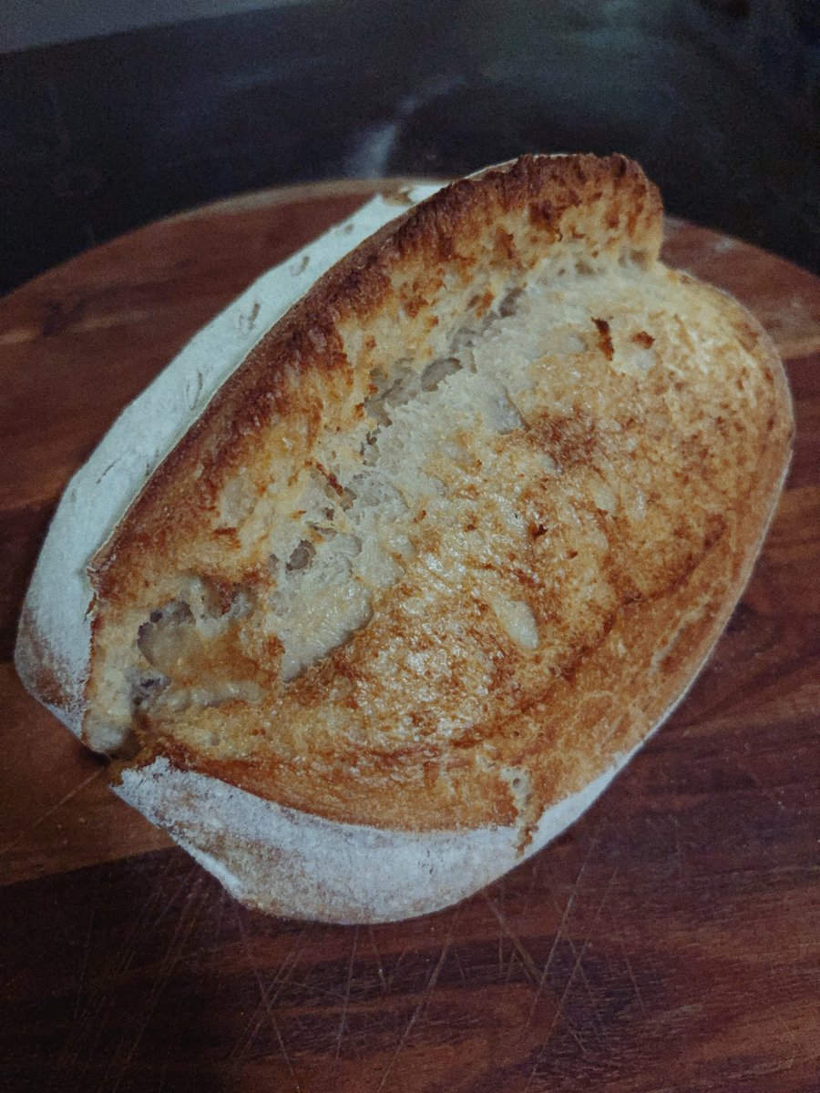 💧David maycraft🩸🌱 tweet media