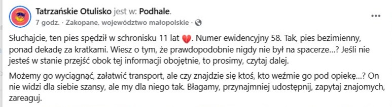 Robwalka Wolf tweet media