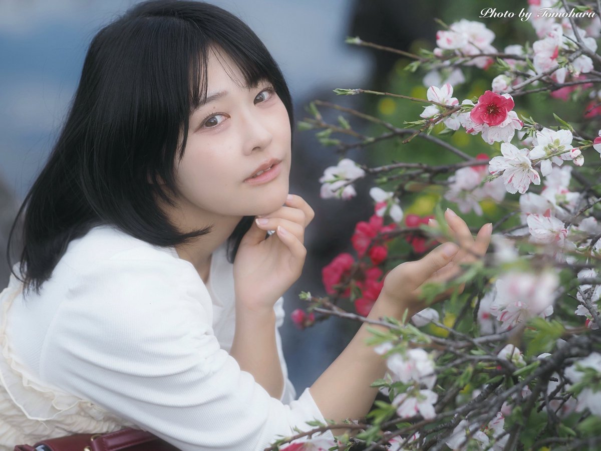 𝙏𝙊𝙈𝙊𝙃𝘼𝙍𝙐 tweet media