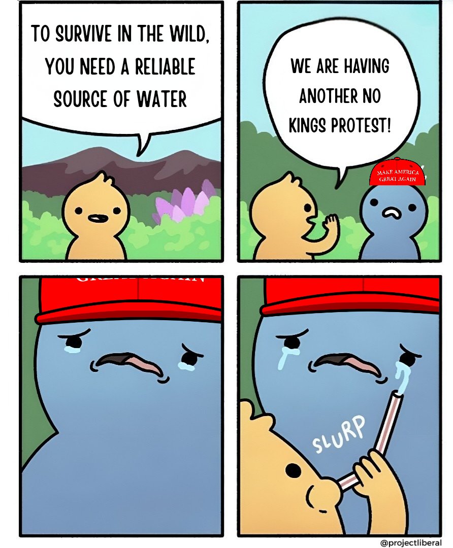 Project Liberal tweet media