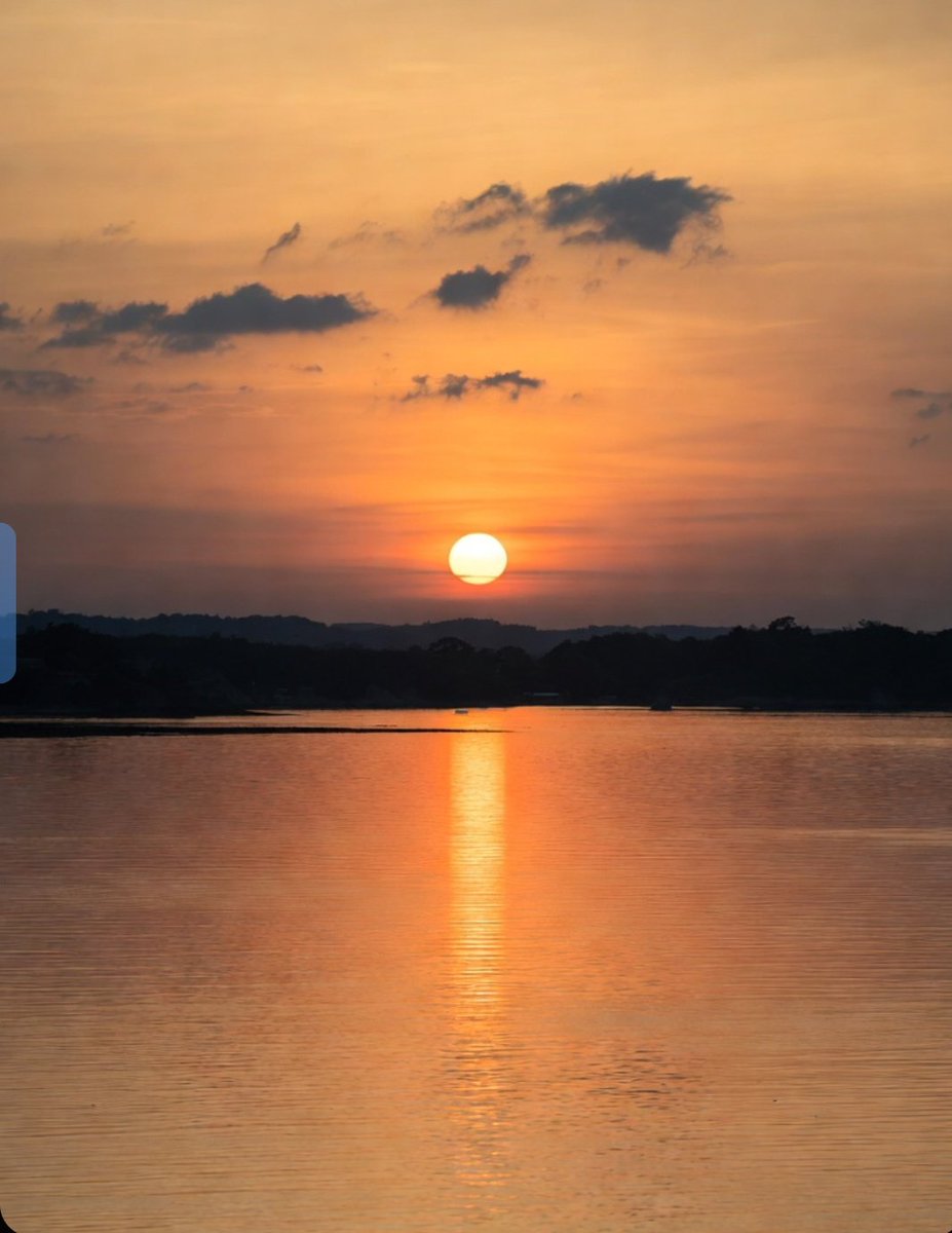 Mohsin Shaikh tweet media