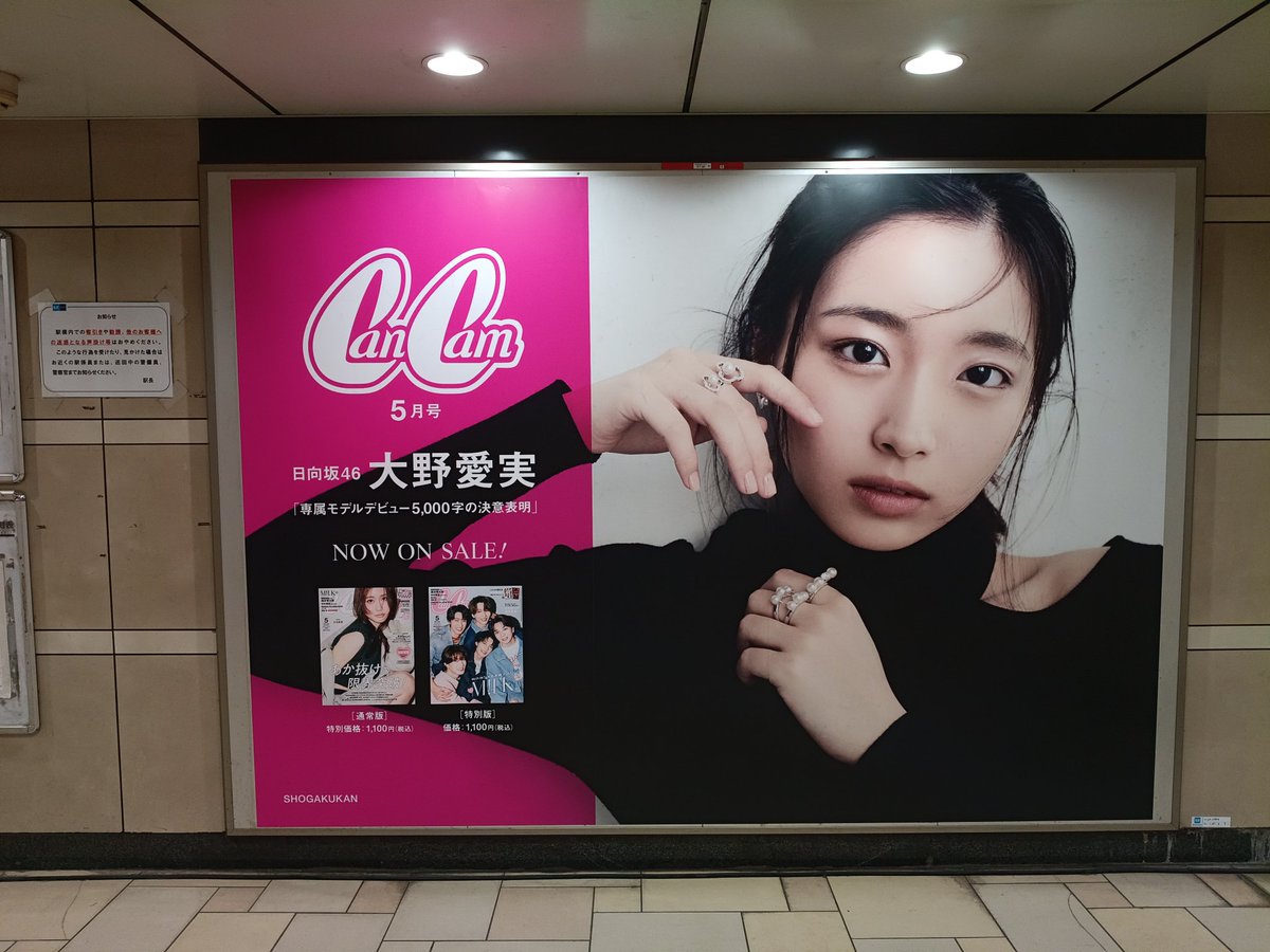 あんじゅまりのす tweet media