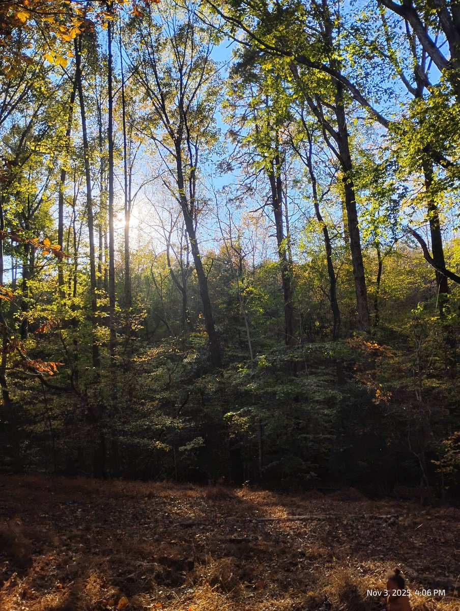 Lakely The Wusky tweet media