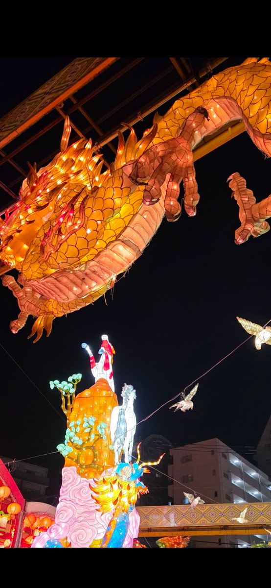 ミラ💎@JGC tweet media