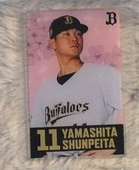 ネコちゃん tweet media