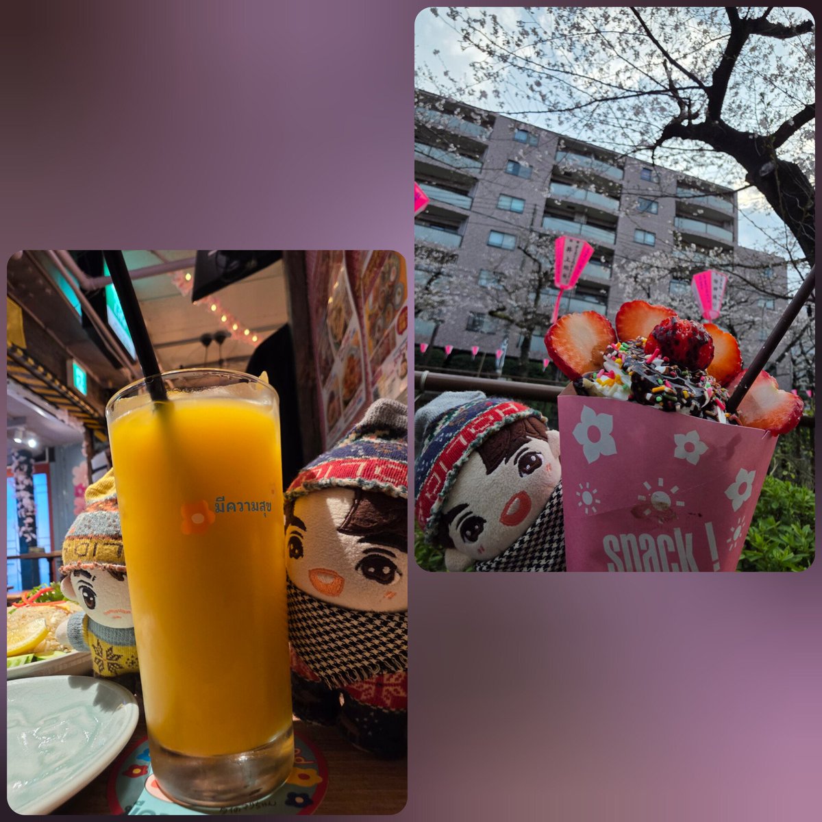 ゆえり🐕‍🦺Yueli (ยูเอลิ) tweet media