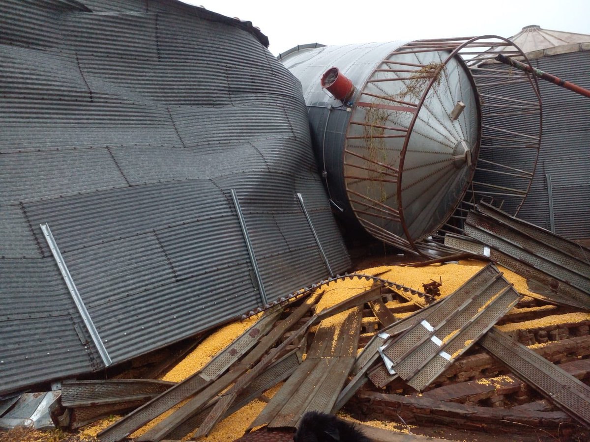 José Luis Fina tweet media