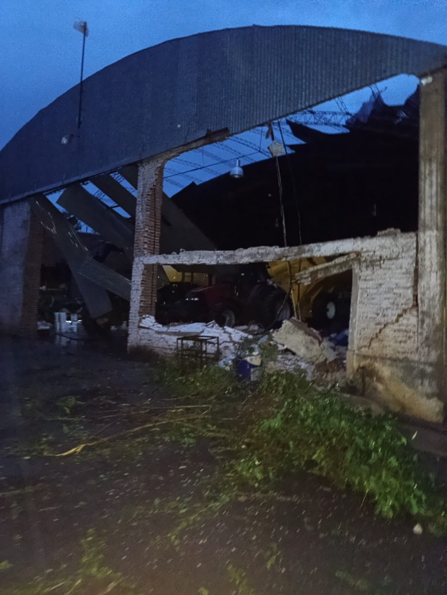 José Luis Fina tweet media