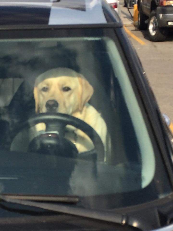 Théo ⃝⃒⃤🐎🐕🐈🐄🦞🐟🐠🐓🐇🐢🐌🦜 tweet media