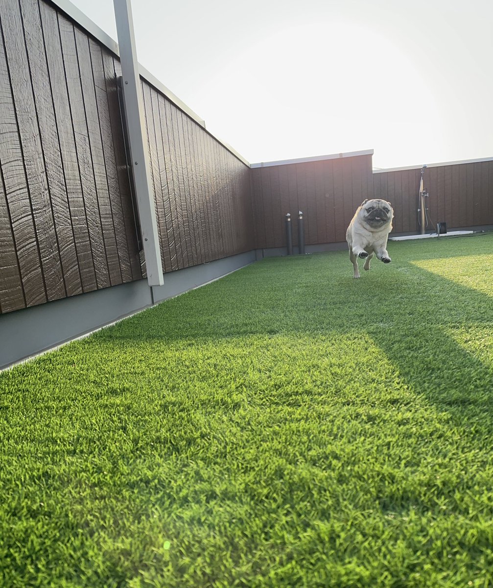 きたむら tweet media