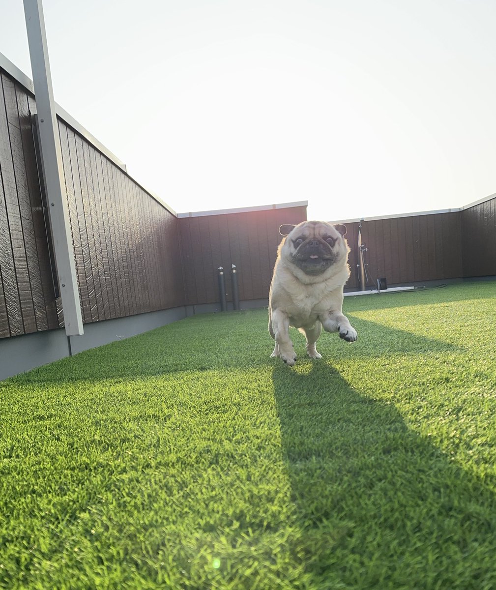 きたむら tweet media