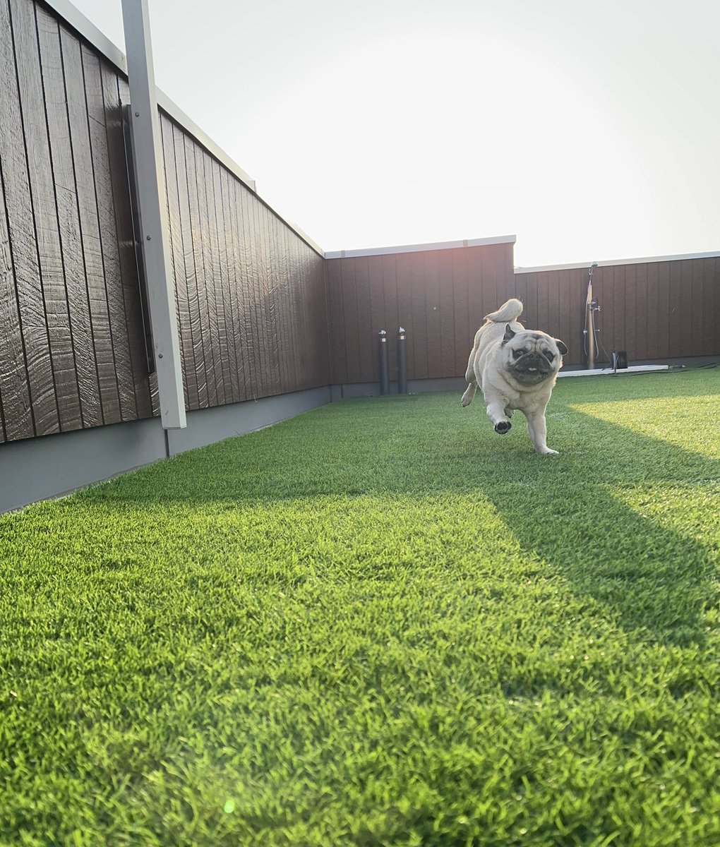 きたむら tweet media