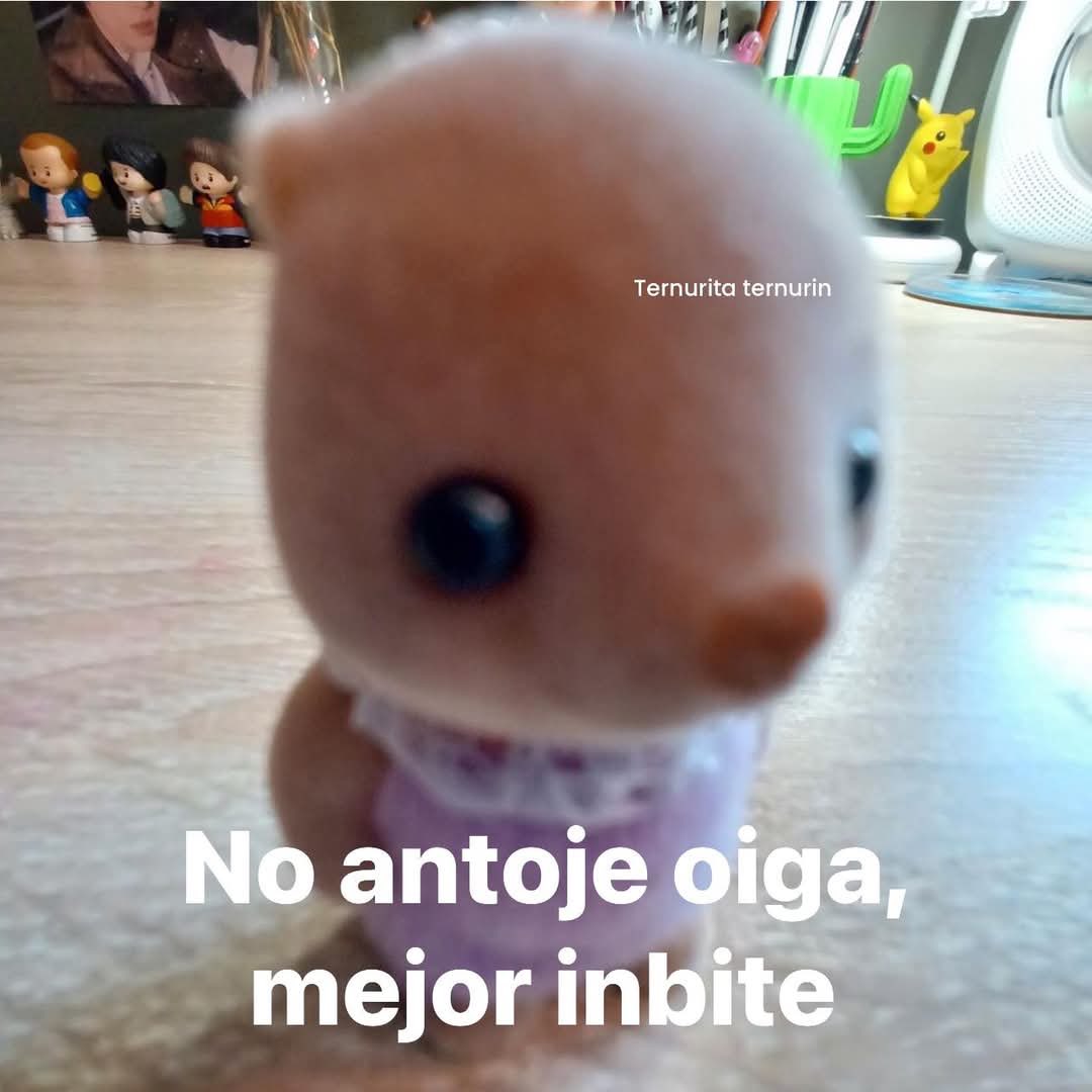 Tu tazo dorado 🍻🤪🇲🇽 tweet media