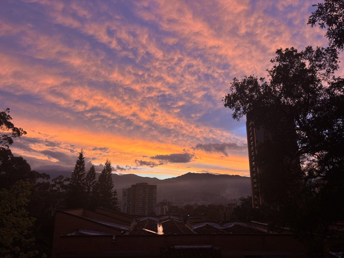 ChristopherRobin tweet media