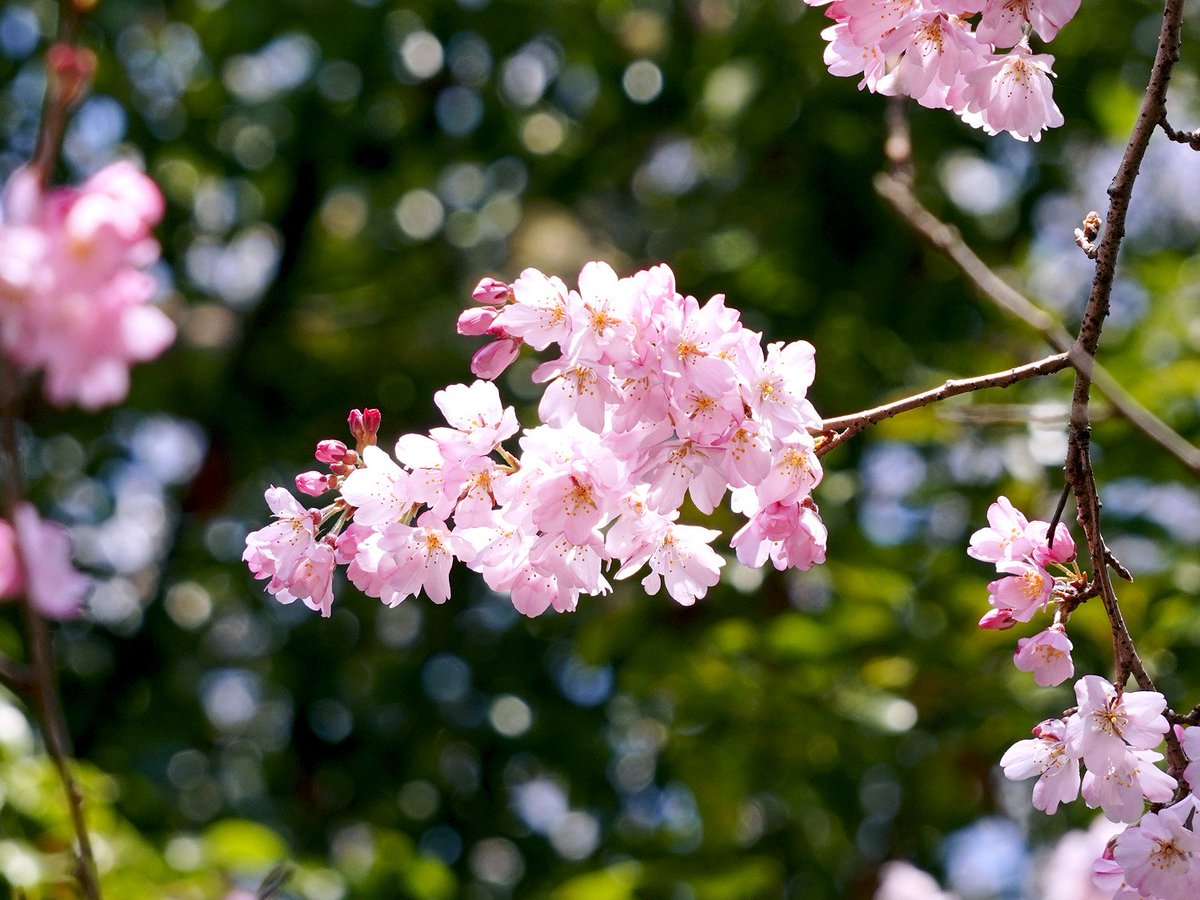 ＡＲＴ空 tweet media