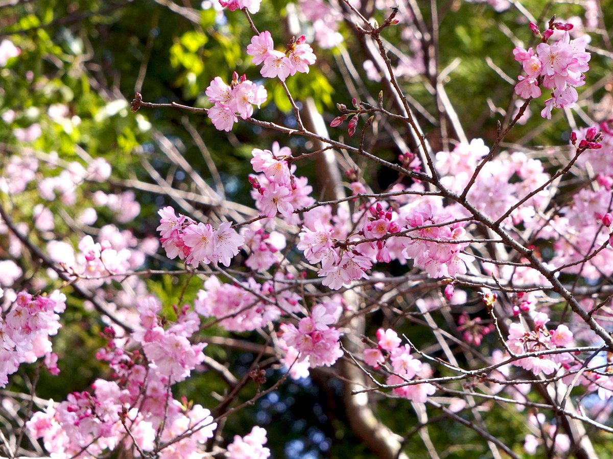 ＡＲＴ空 tweet media