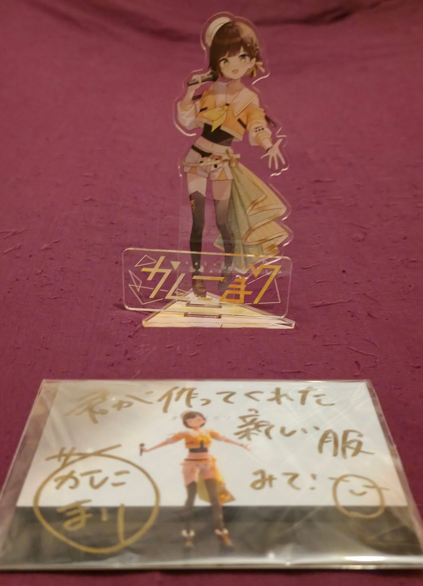 DewgyD's tweet photo. Going to start posting merch again, This time it's tipsy singer songwriter Kashiko Mari. Shes been around for a long time and I've enjoyed her songs and fear of horror games for a long time, so had to get a handwritten autograph!  #かしこまり https://t.co/1BZ3733k0I