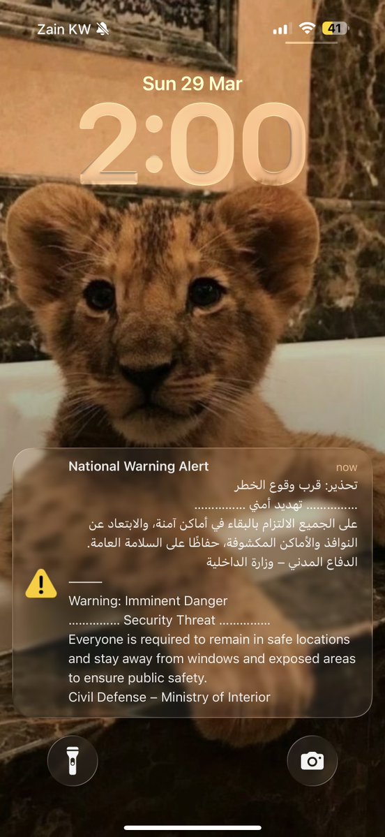 Shelby توماس '$ tweet media