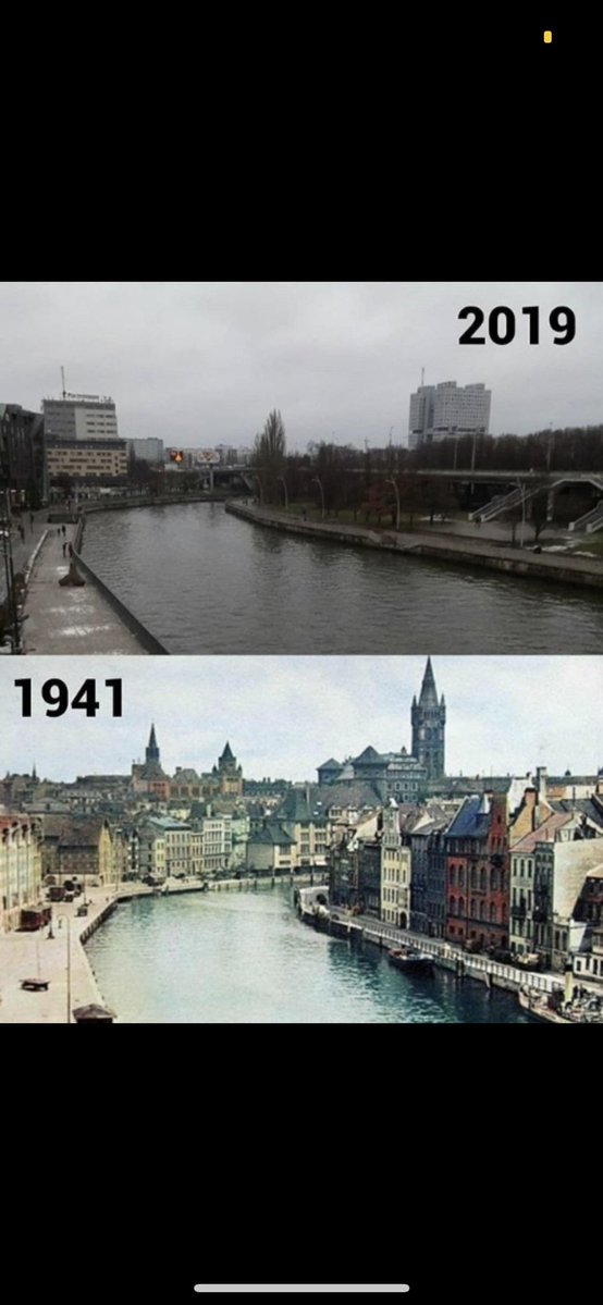 HolzRabe tweet media