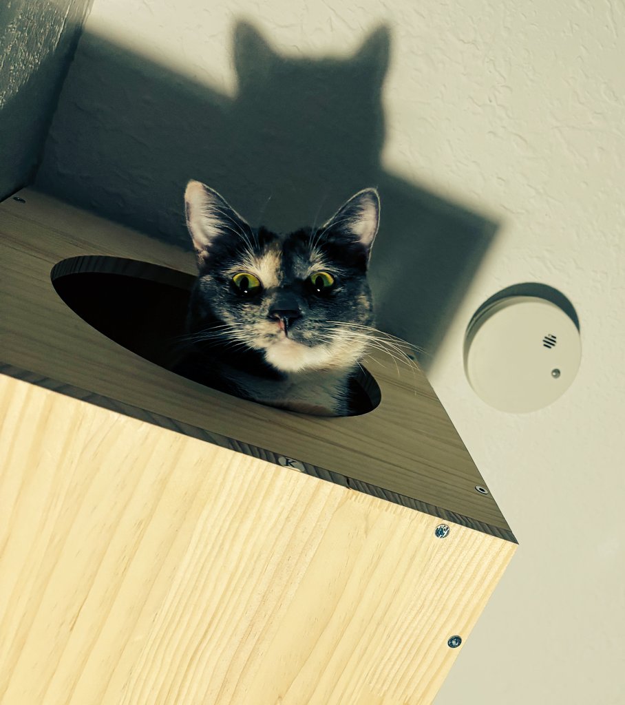 Suffy 🦢 tweet media