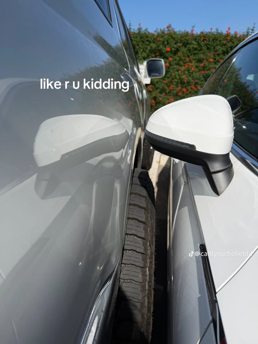 Zero Tolerance Policy tweet media