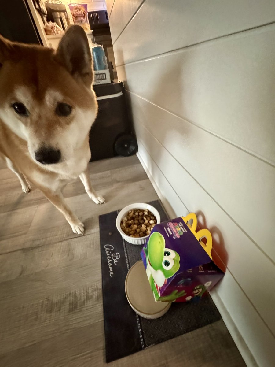 W 0 0 D S tweet media