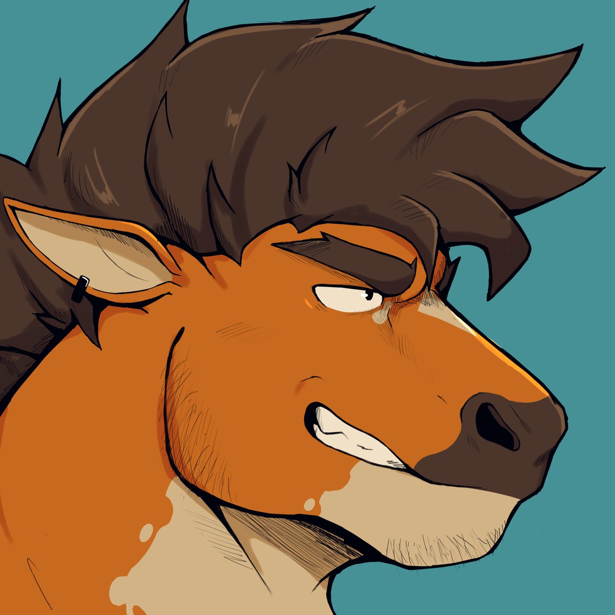 StrayLoop tweet media