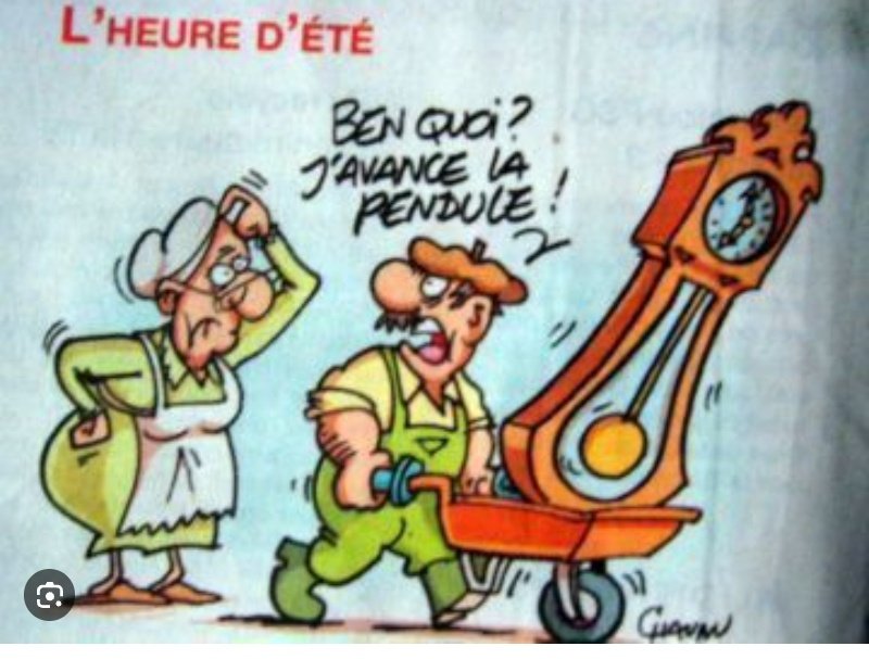 🇫🇷 MIDY Rosamonde 🇫🇷🐕📸🌕⭐️ tweet media