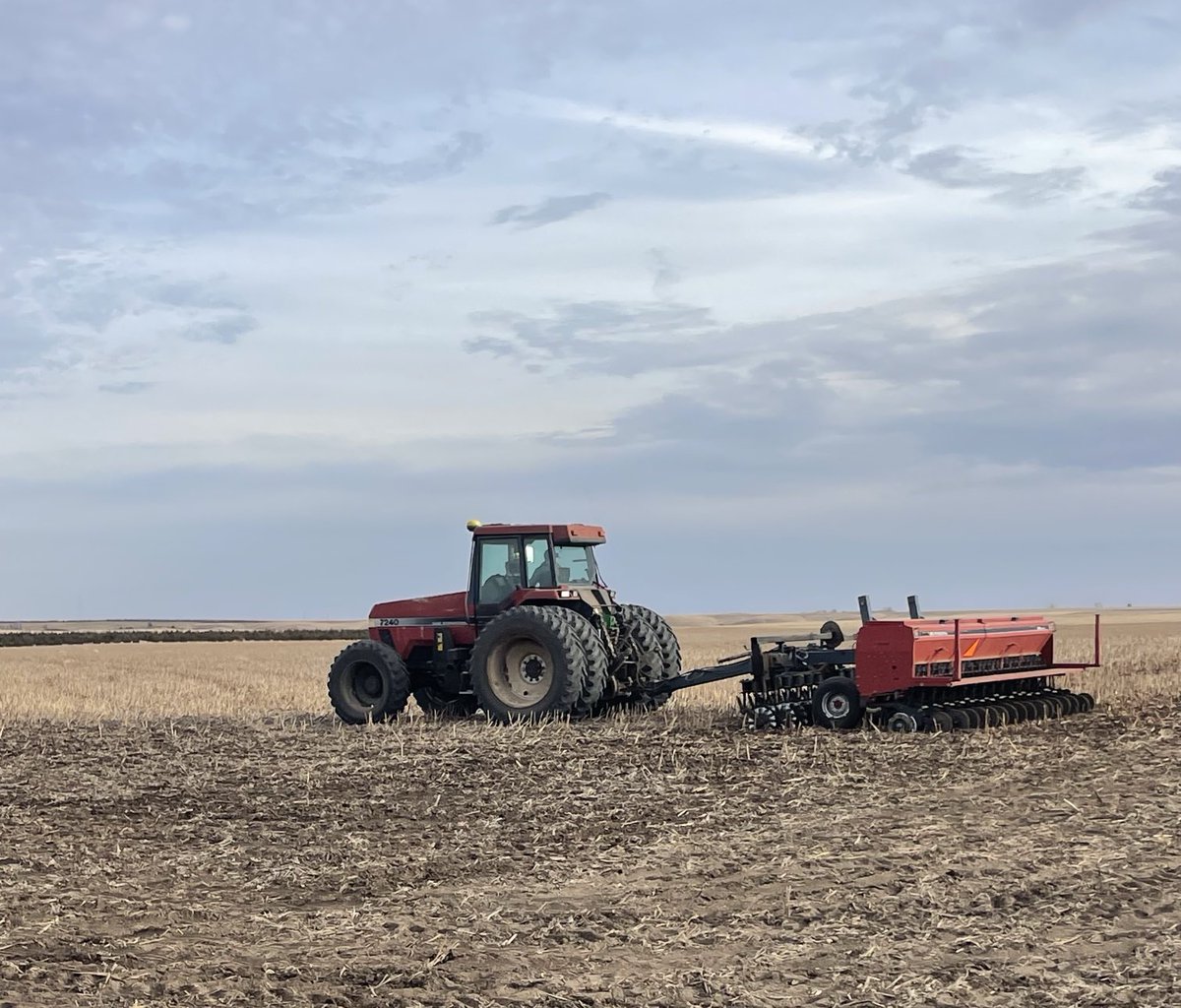 Doug Severson tweet media