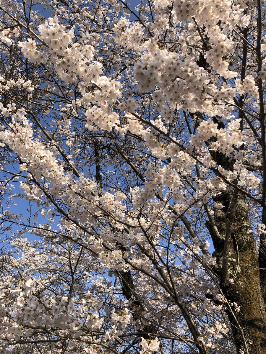 🔰にむ (@debuemon4) on Twitter photo 