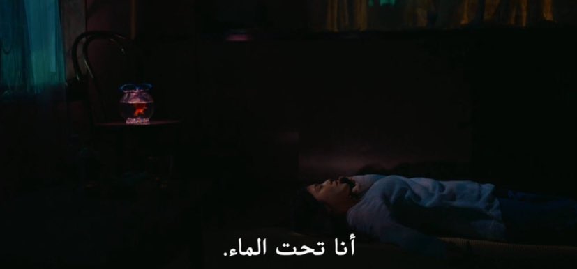 林森林 tweet media