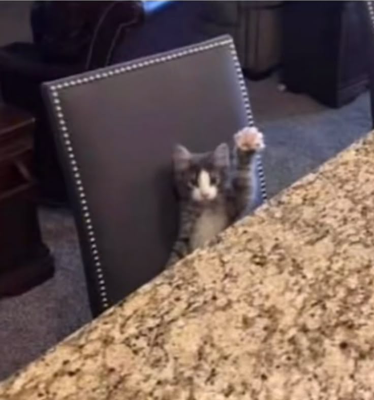 Clov! 🍉 tweet media