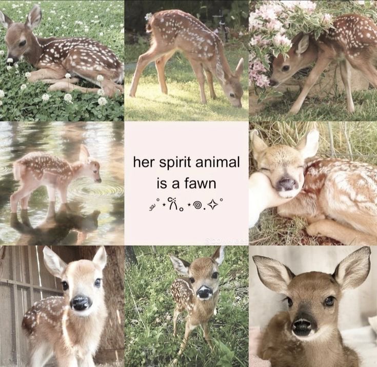 sofia ❤︎︎ tweet media