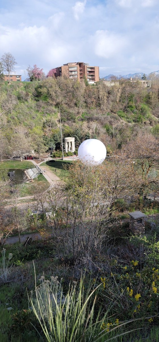 Rowan Fornow 🚵🚉🏙🦣🇵🇸 tweet media