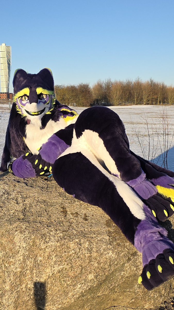 cenecasergal's tweet image. Draw me like some of your French cheese

🎞️🪡 @whitewingsuits

#Sergal #Cheese #Fursuit #Furry #Furryfandom #Fursuiting #FursuitEveryday #SergalSunday