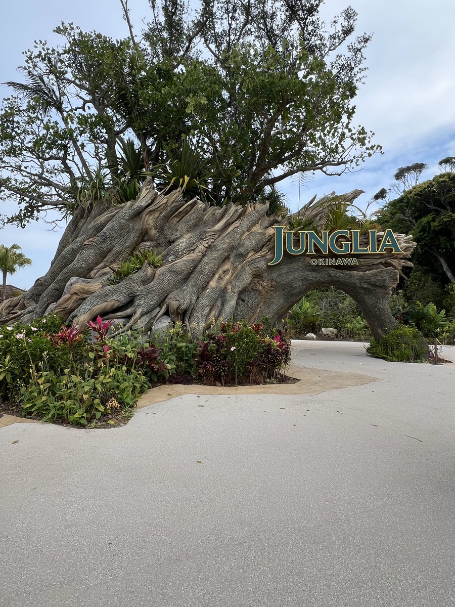 akemi3585🐒🥦 tweet media