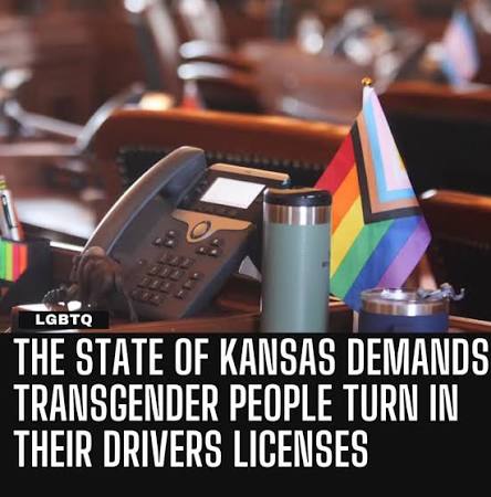 Queen Chimerazilla ☭🐾 🏳️⚧️ tweet media