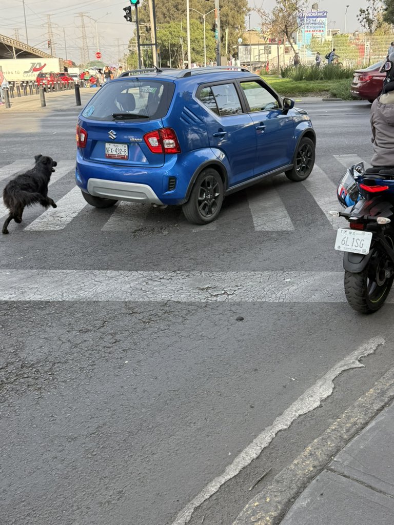 Leonardo Lugo V tweet media