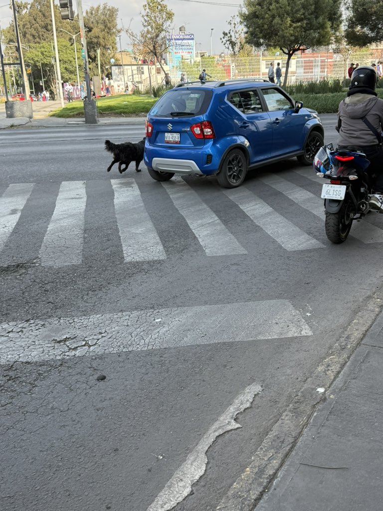 Leonardo Lugo V tweet media