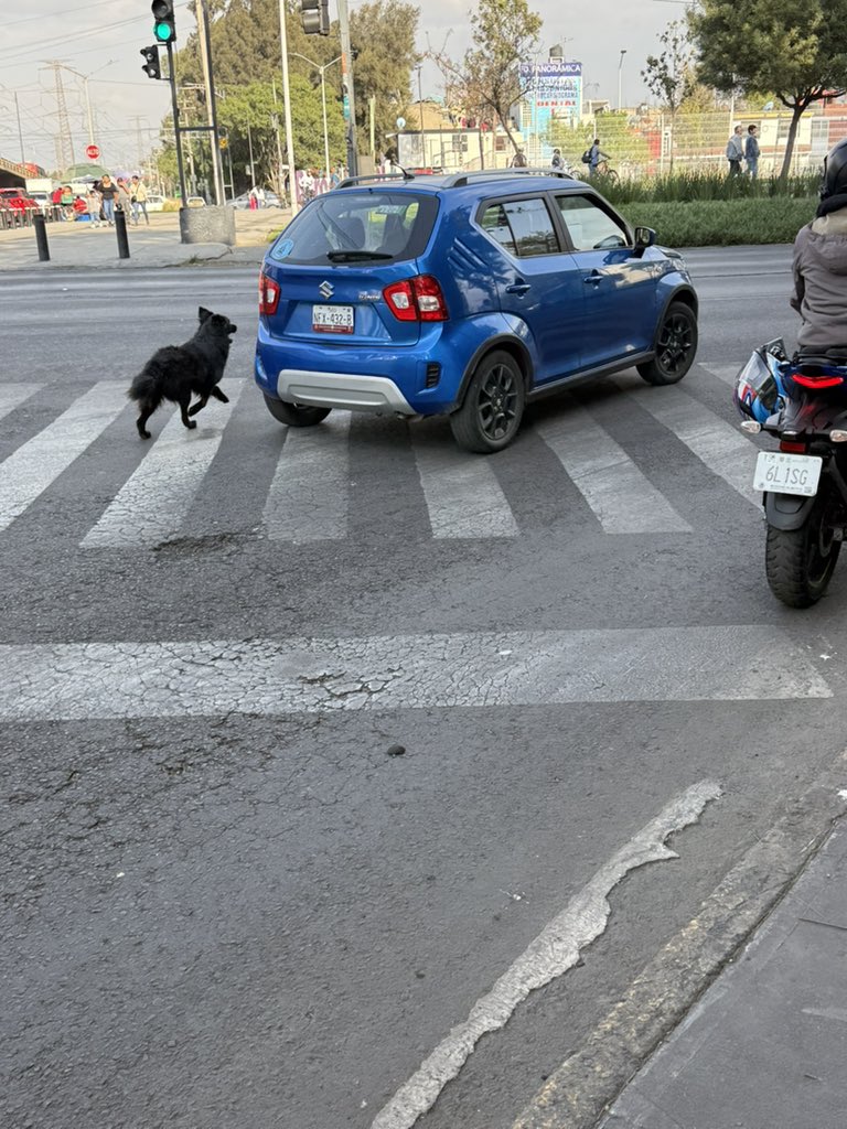 Leonardo Lugo V tweet media