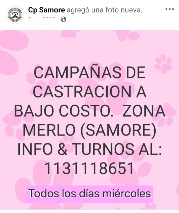 Perros de Merlo tweet media