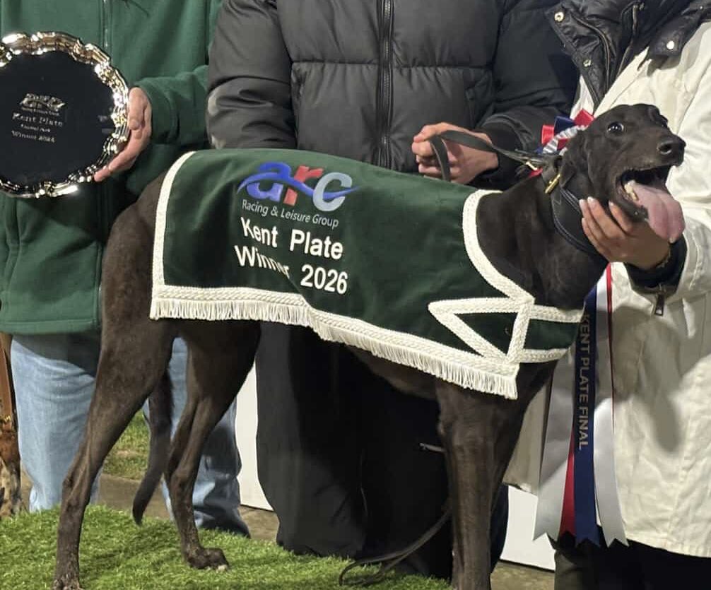 𝑹𝑬𝑬𝑺 𝑮𝑹𝑬𝒀𝑯𝑶𝑼𝑵𝑫 𝑹𝑨𝑪𝑰𝑵𝑮 tweet media