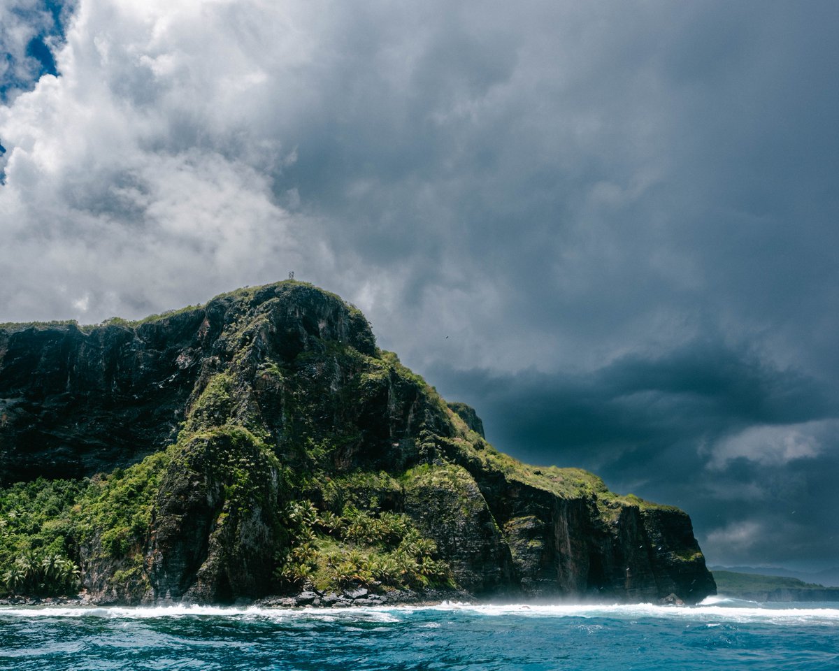 Tommy Christie tweet media