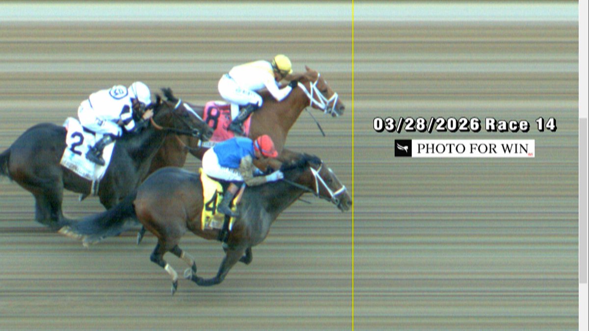 J.J. Hysell tweet media