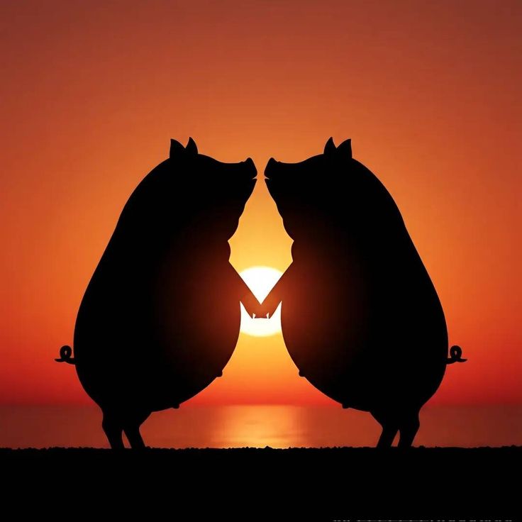 dýn.⁷ tweet media