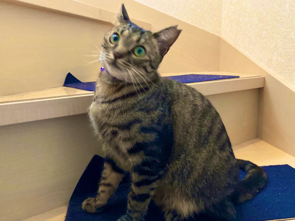 しの【乙は経験値🤠】 tweet media