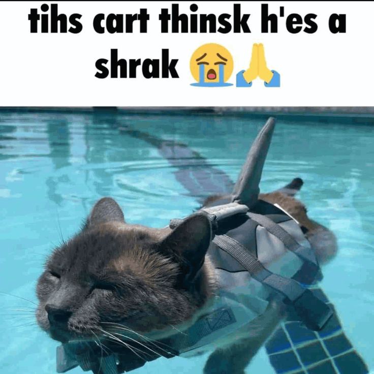 i drink soup tweet media