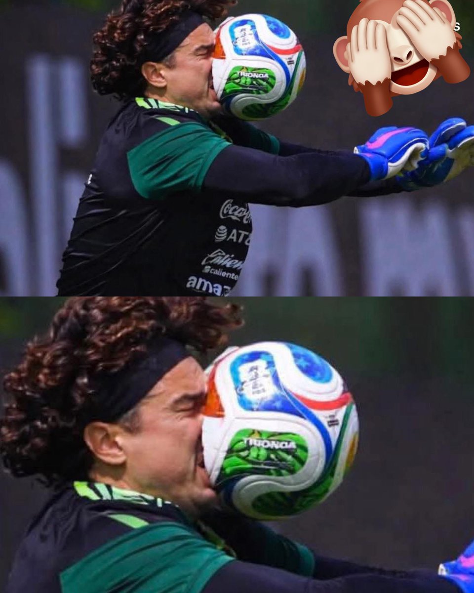 Tu tazo dorado 🍻🤪🇲🇽 tweet media